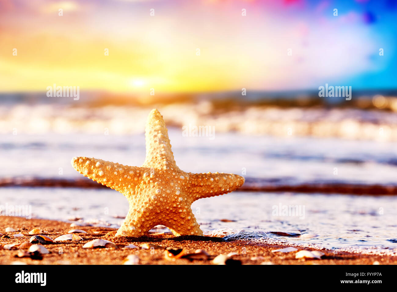 Starfish on the exotic beach at warm sunset Stock Photo