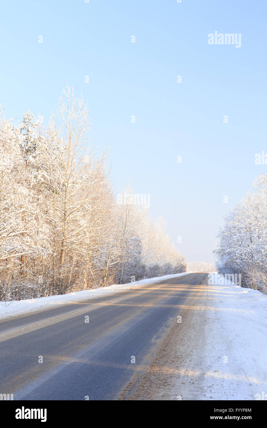 Winter road through snowy forests Stock Photo - Alamy