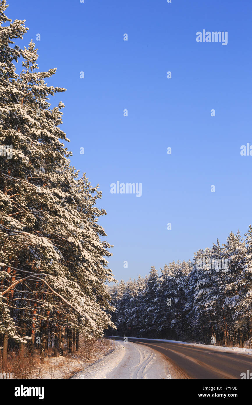 Winter road through snowy forests Stock Photo - Alamy