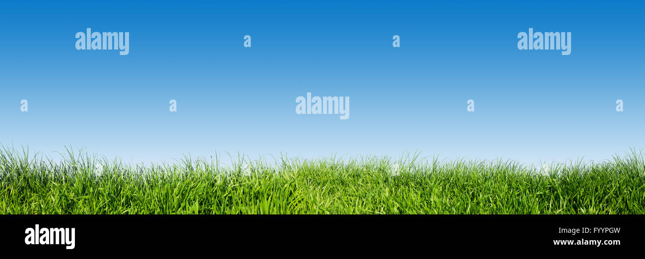Clear blue sky green grass hi-res stock photography and images - Alamy