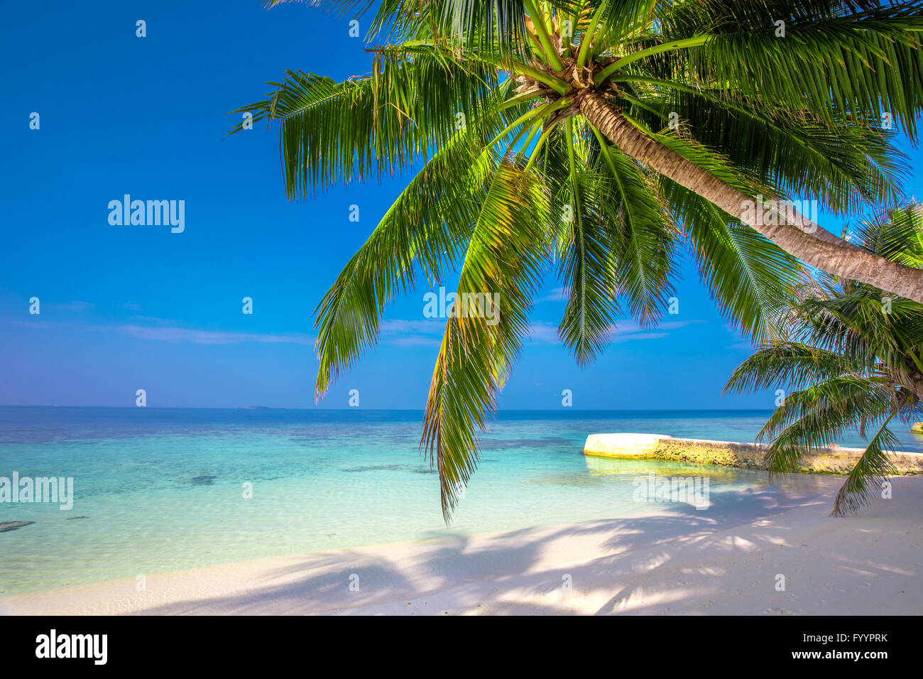 Tropical island with sandy beach, palm trees, overwater bungalows and tourquise clear water Stock Photo