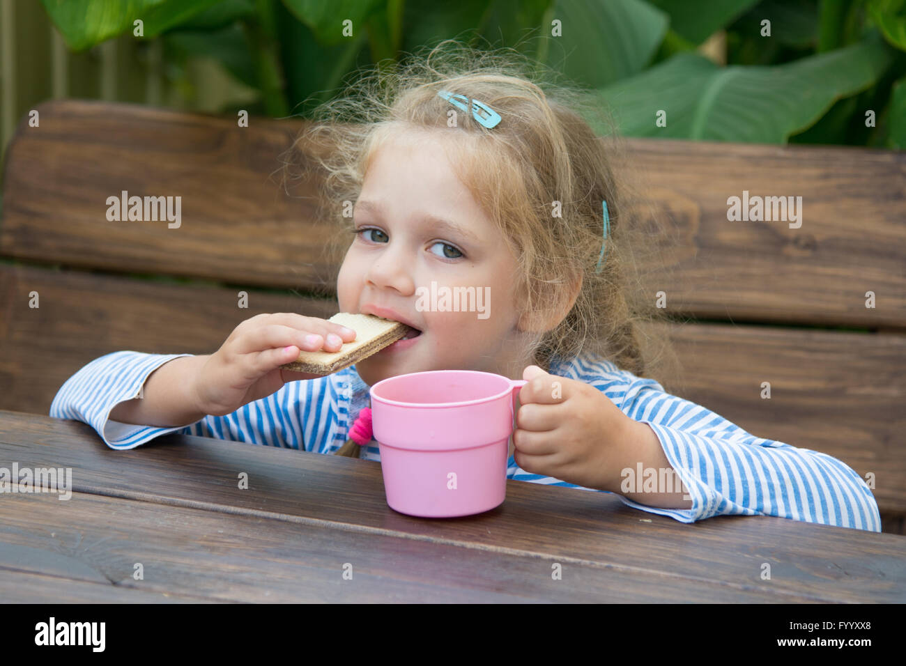Four-year girl waffle bites and drinks tea Stock Photo