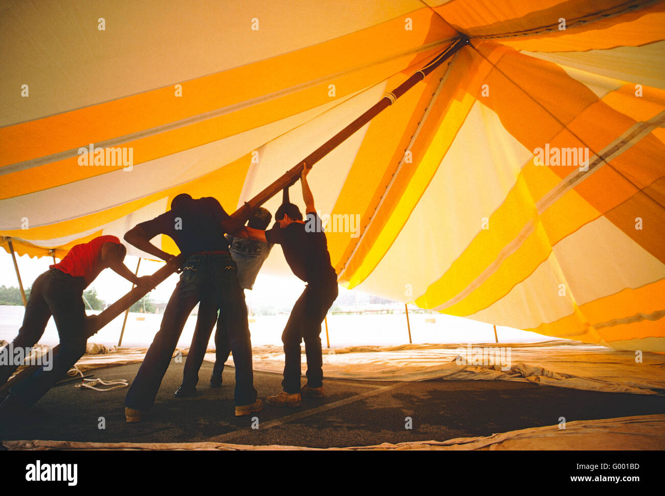 FOUR WORKERS STRUGGLE TO ERECT A LARGE YELLOW RENTAL TENT Stock Photo