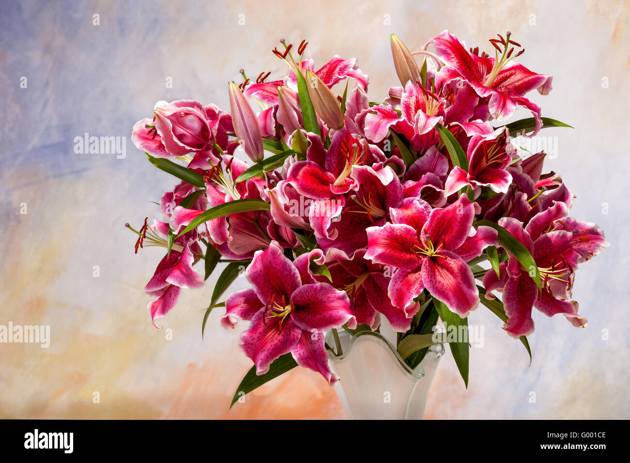 Pink lilies on a colored background Stock Photo - Alamy
