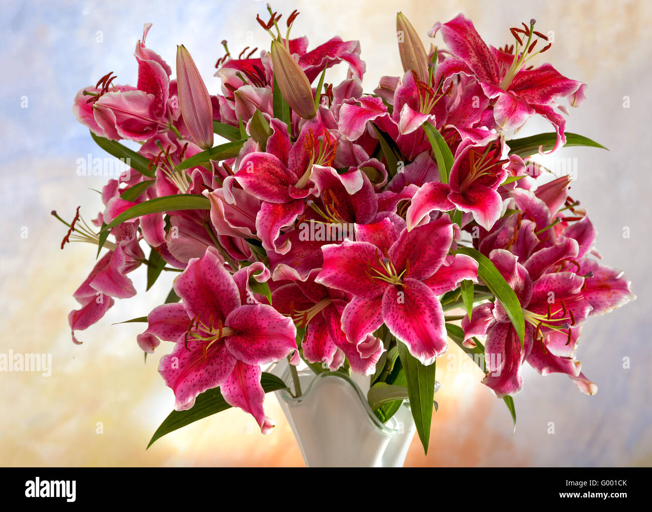 Pink lilies on a colored background Stock Photo - Alamy