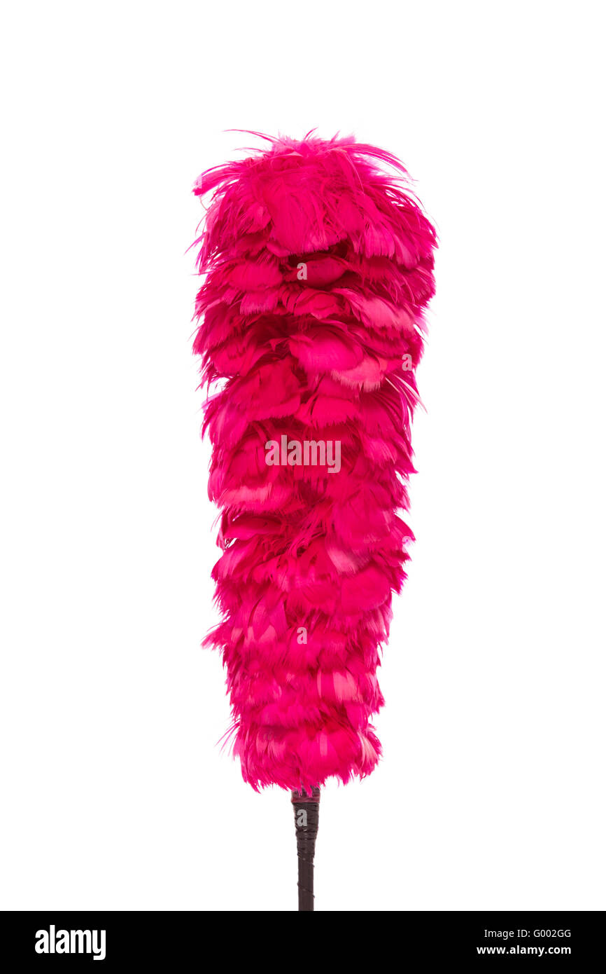 Pink feather duster hi-res stock photography and images - Alamy