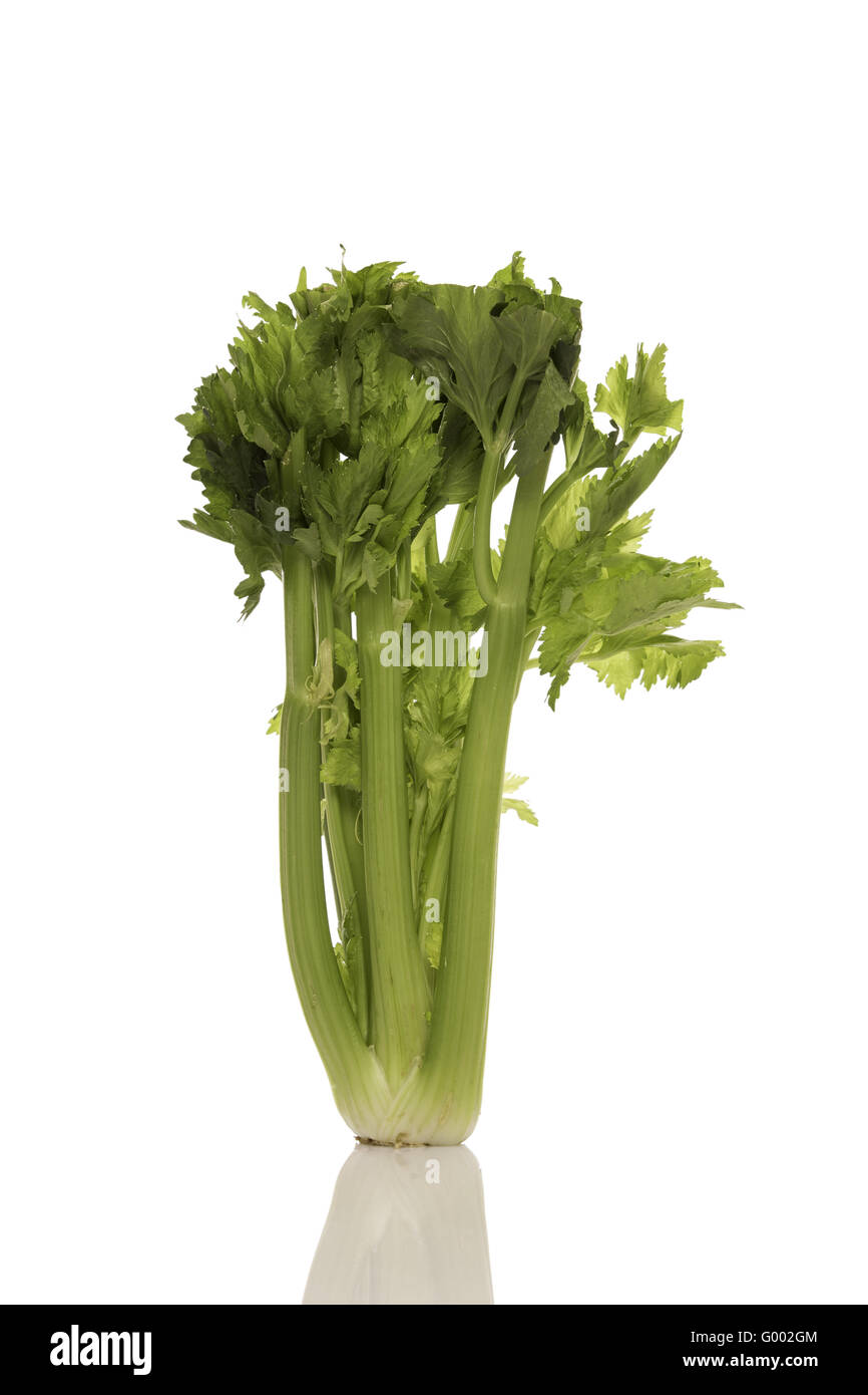 Celery Bunch High Resolution Stock Photography and Images Alamy