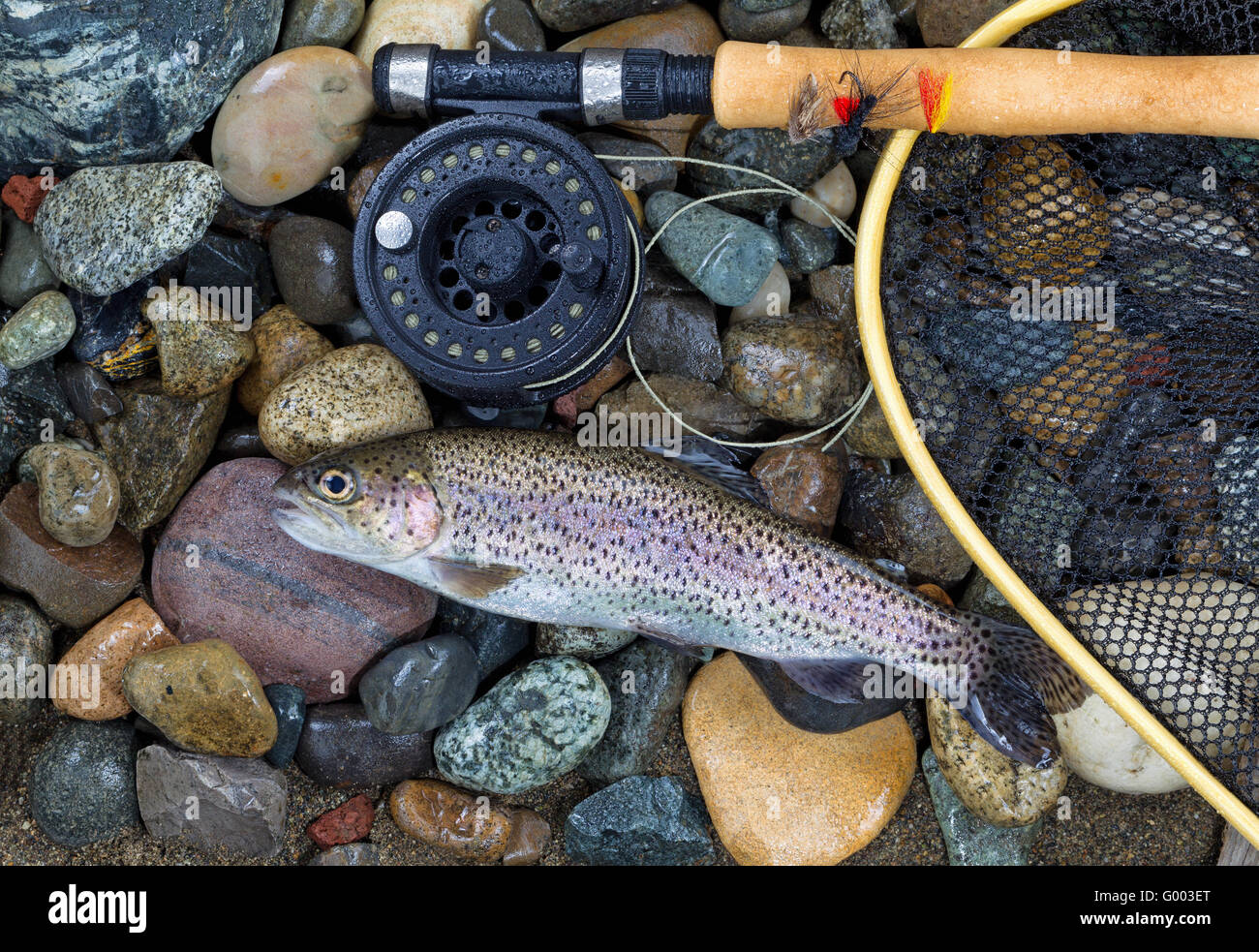 Pole and line caught fish hires stock photography and images Alamy