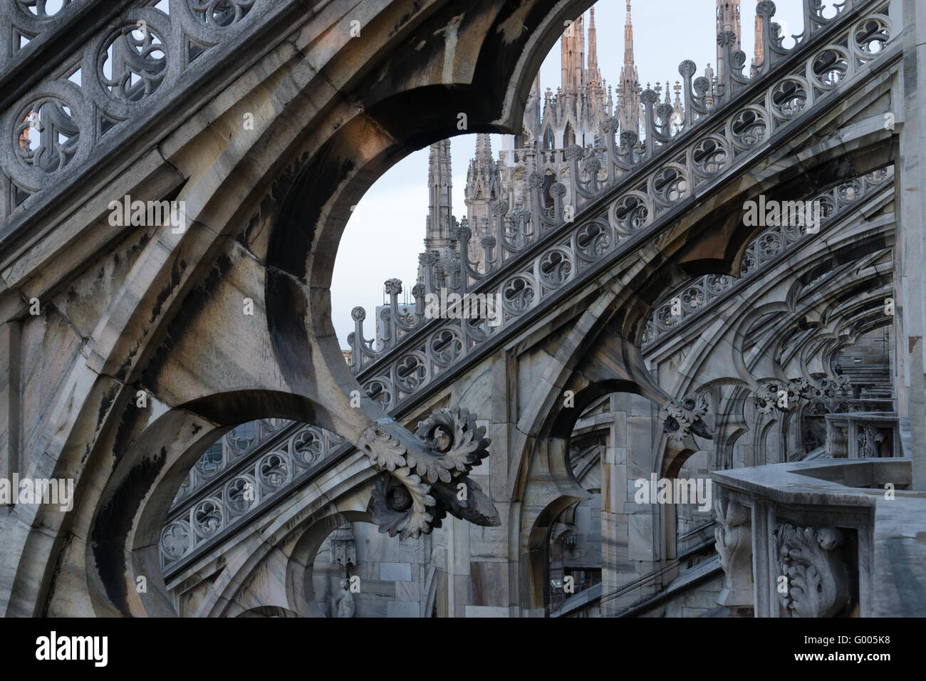 Duomo Top