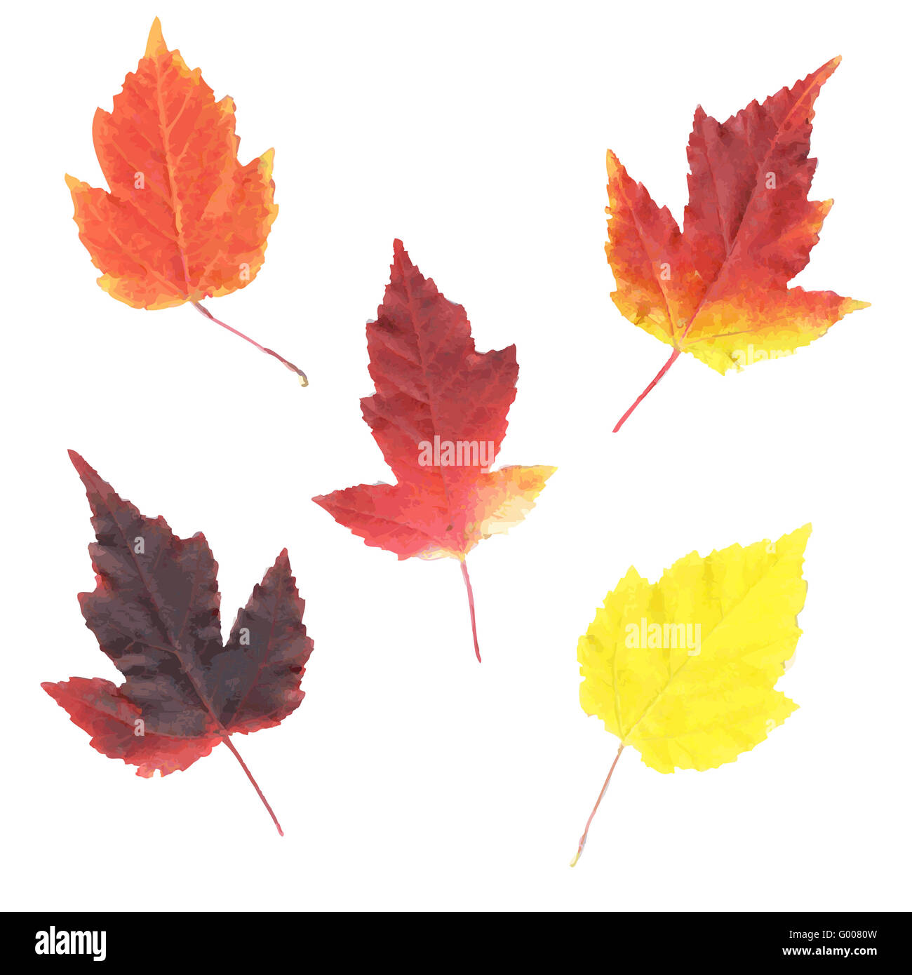 Golden Color Small Size Leaves Set Of 20