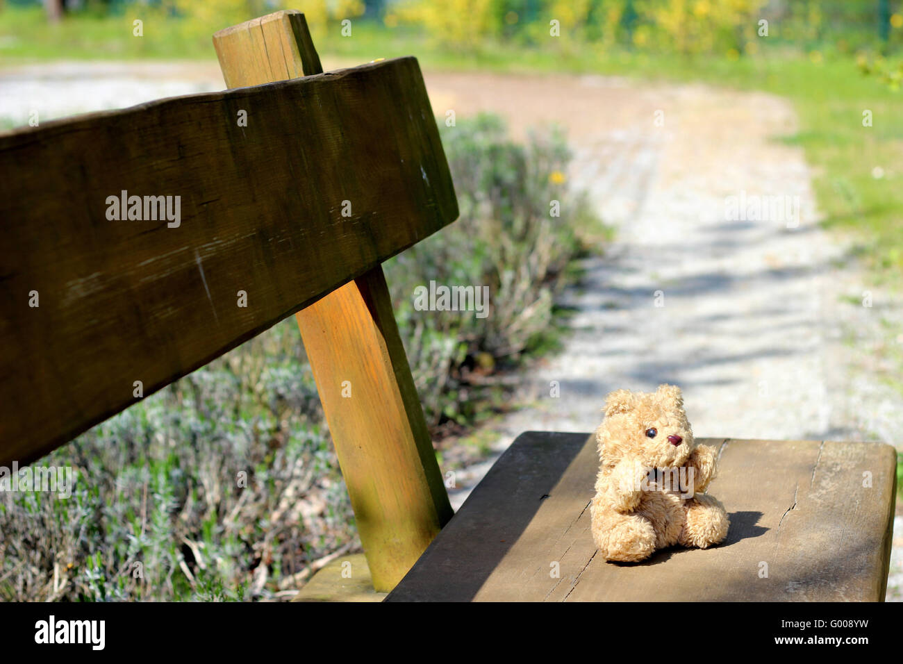 Teddy on bench Stock Photo - Alamy