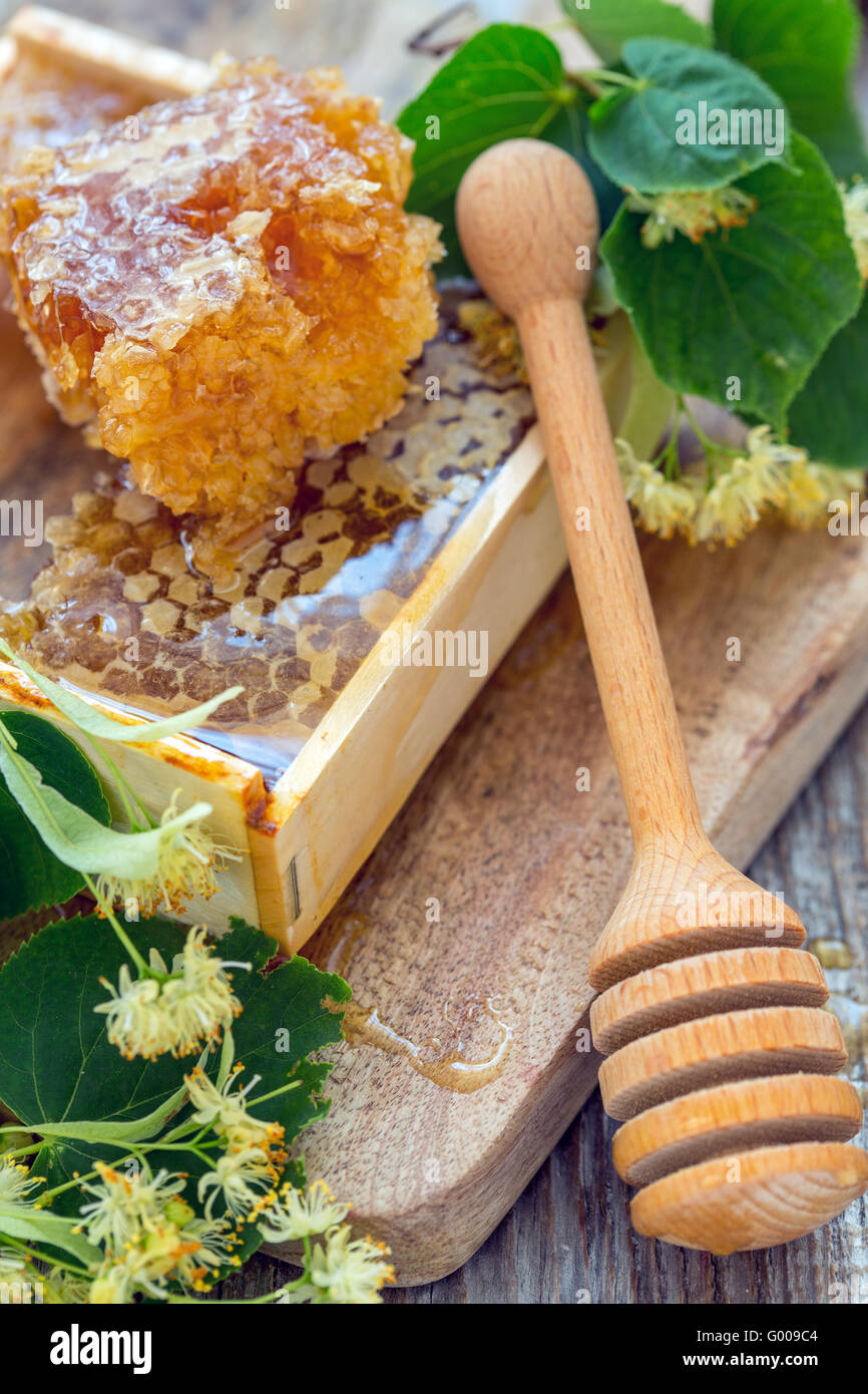 Honey comb and a wooden spoon Stock Photo - Alamy