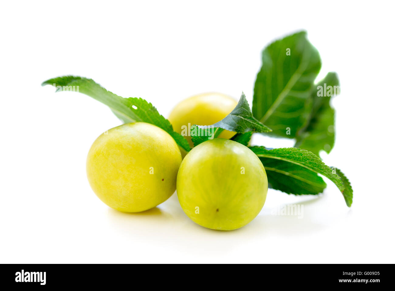 Small yellow plums. Stock Photo