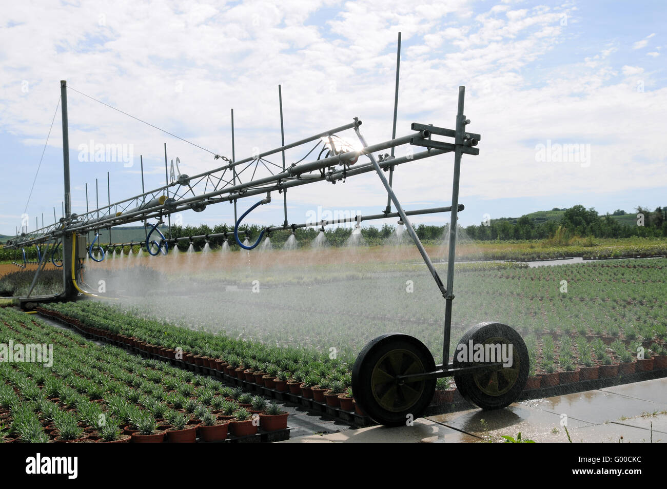Irrigation-System Stock Photo