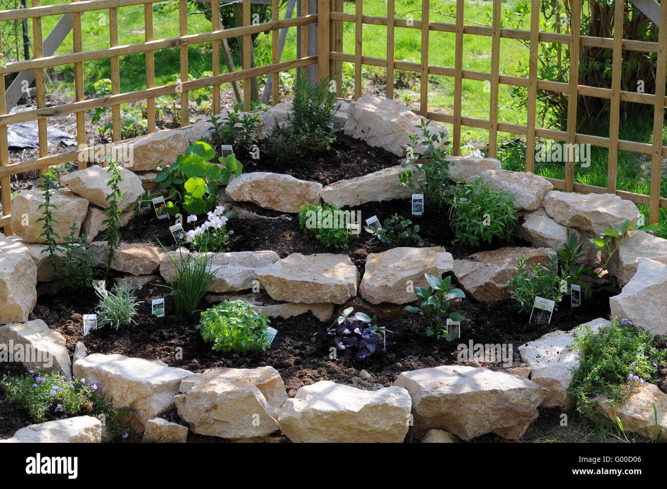 Herbs In A Garden Stock Photo 103272406 Alamy