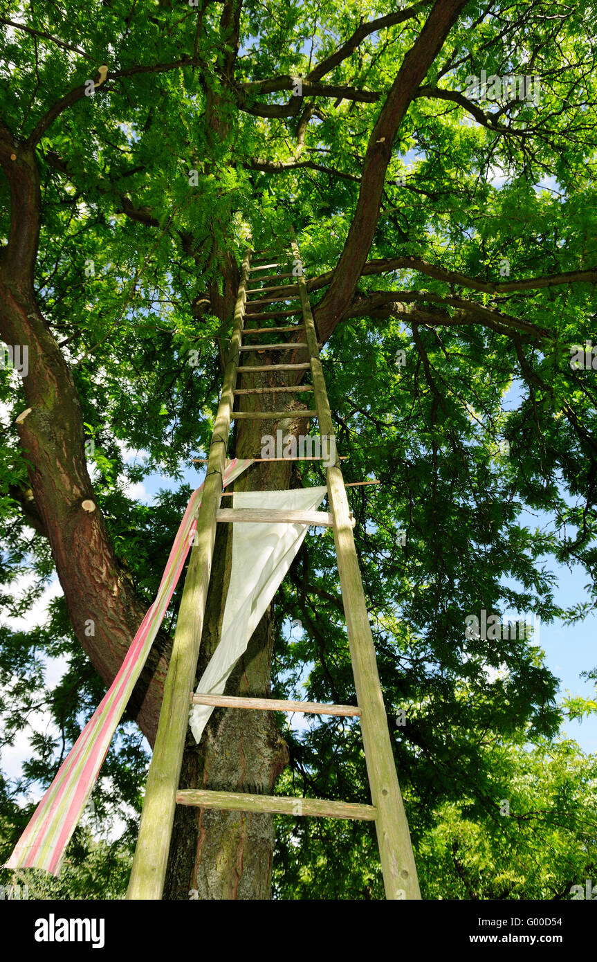 Ladder Stock Photo