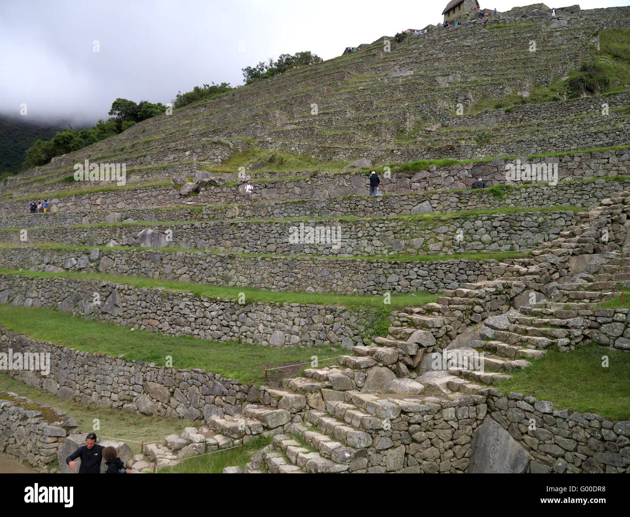 Terraces at Machu Picchu in agricultural area Stock Photo - Alamy