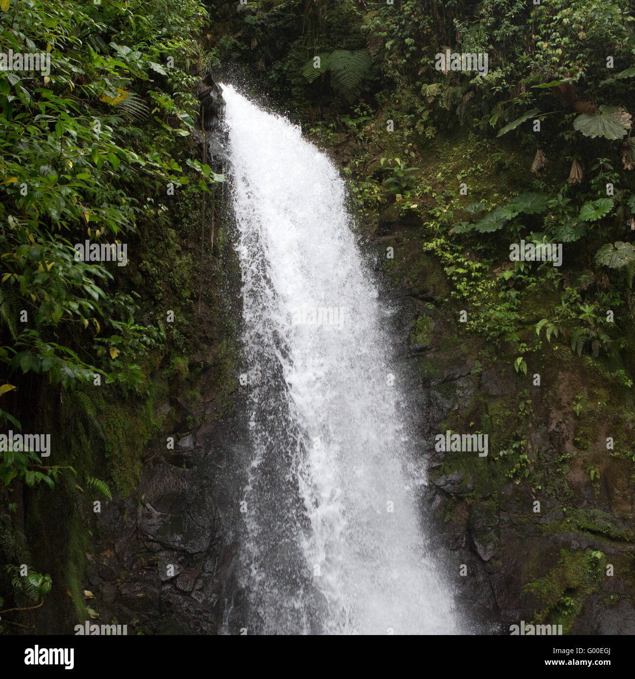 A waterfall gushes in the Cordillera Central Mountain Range of Costa ...