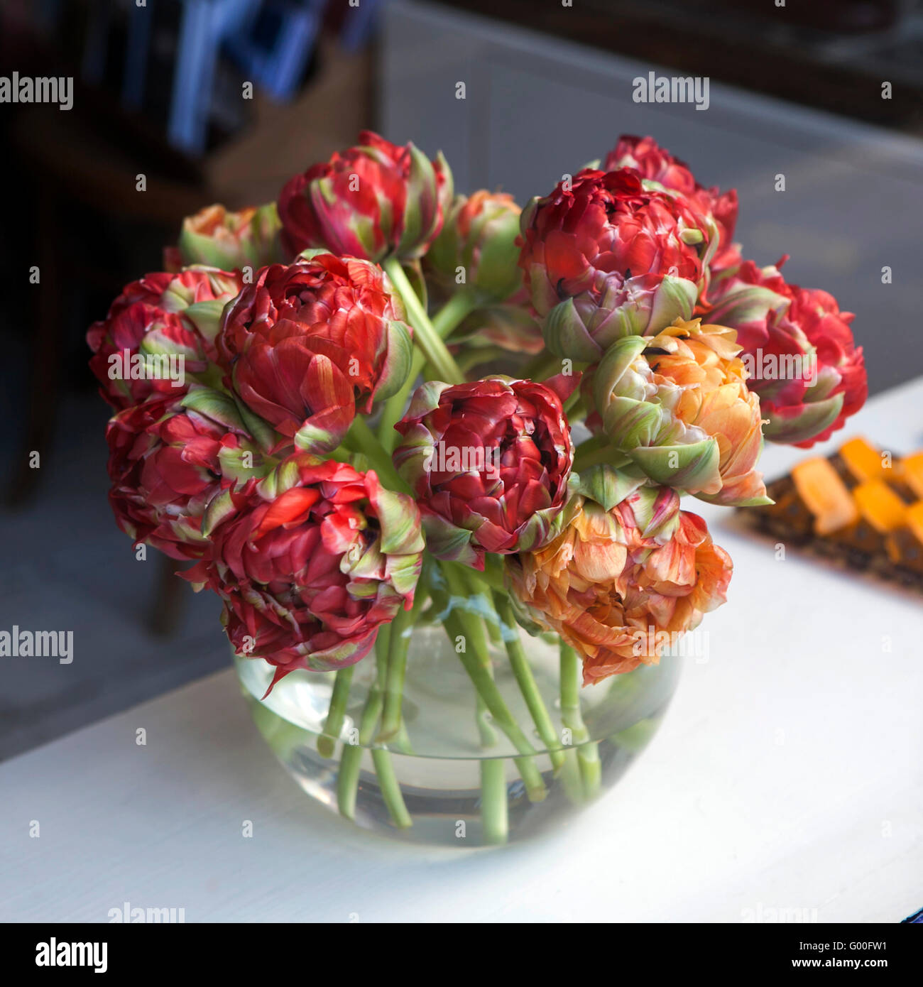 Parrot Tulips in a glass vase, romantic bouquet,spring flowers,a bouquet of flowers,festive bouquet Stock Photo