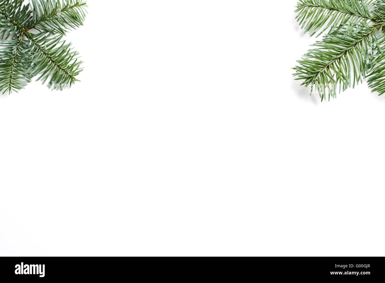 Frame of two fir branches at the corner isolated on white background Stock Photo