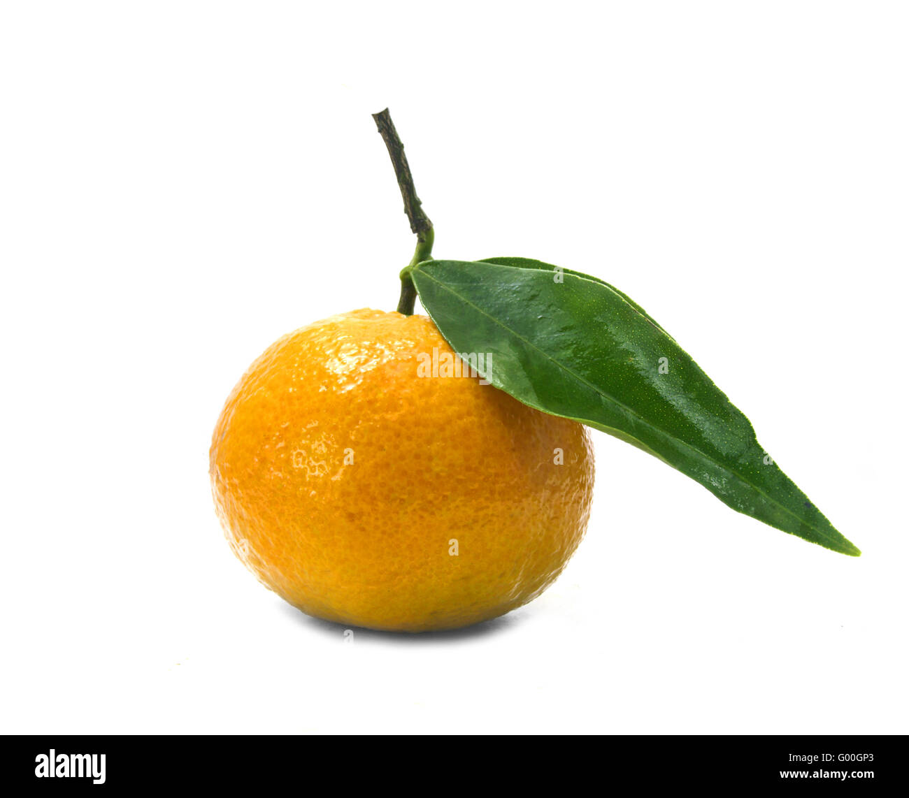 Li sun Cut Out Stock Images & Pictures Alamy