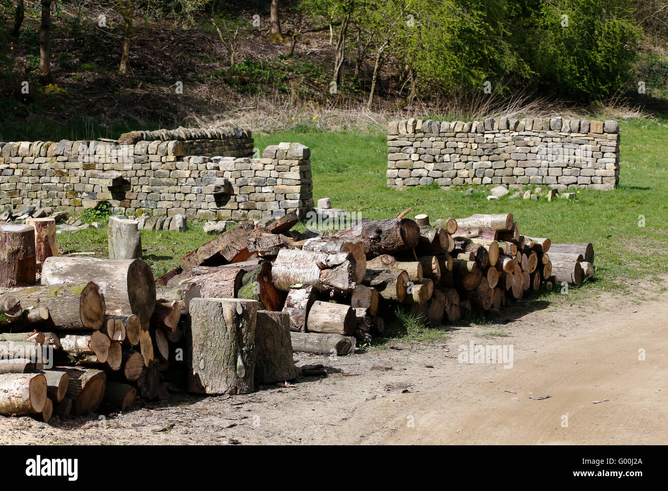 Dry Stone walling at Chevin Woods, at Chevin Forest Park, Otley, West Yorkshire. Stock Photo