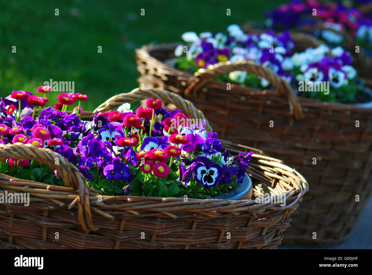 Korb mit Frühlingsblumen Stock Photo