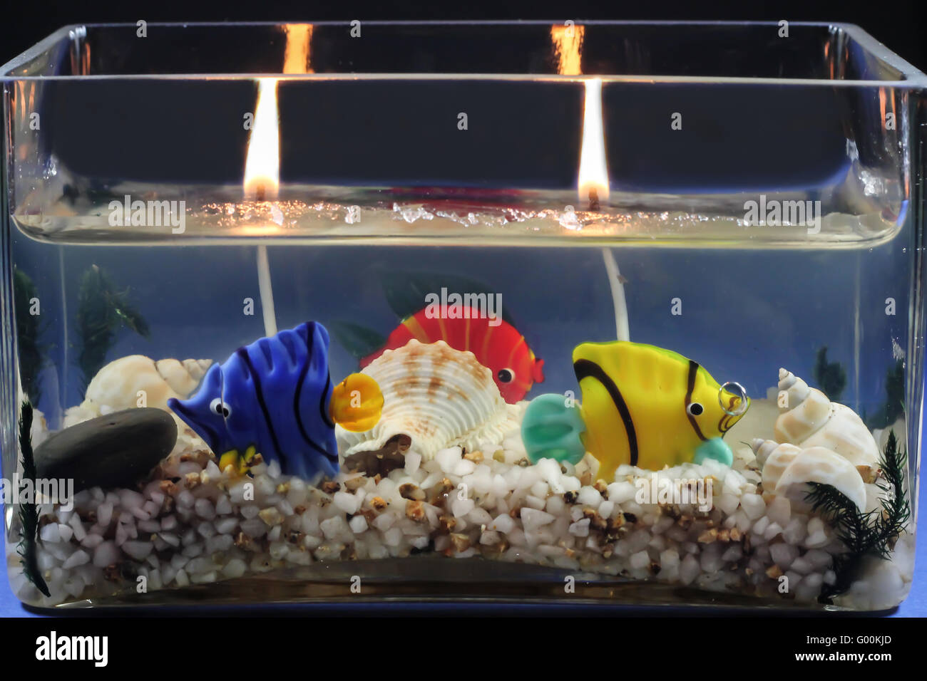 Aquarium - artificially Stock Photo