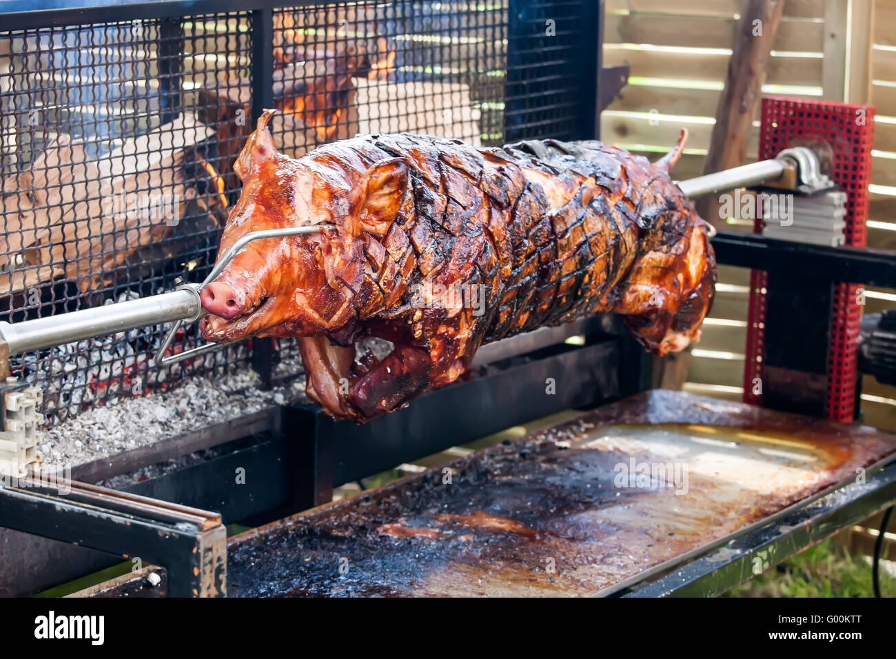 Roasted pig on the rack Stock Photo