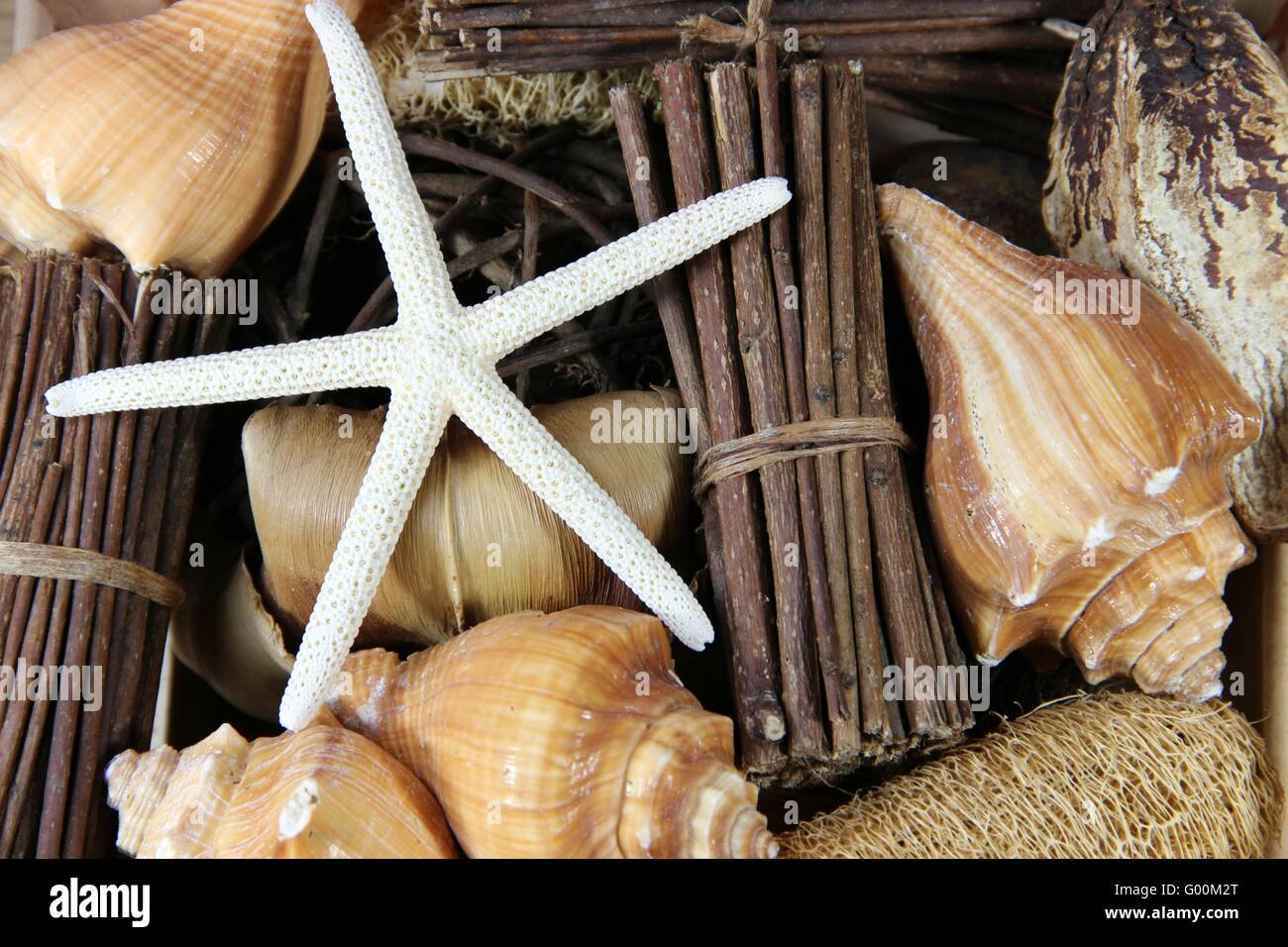 Holiday at the seaside Stock Photo