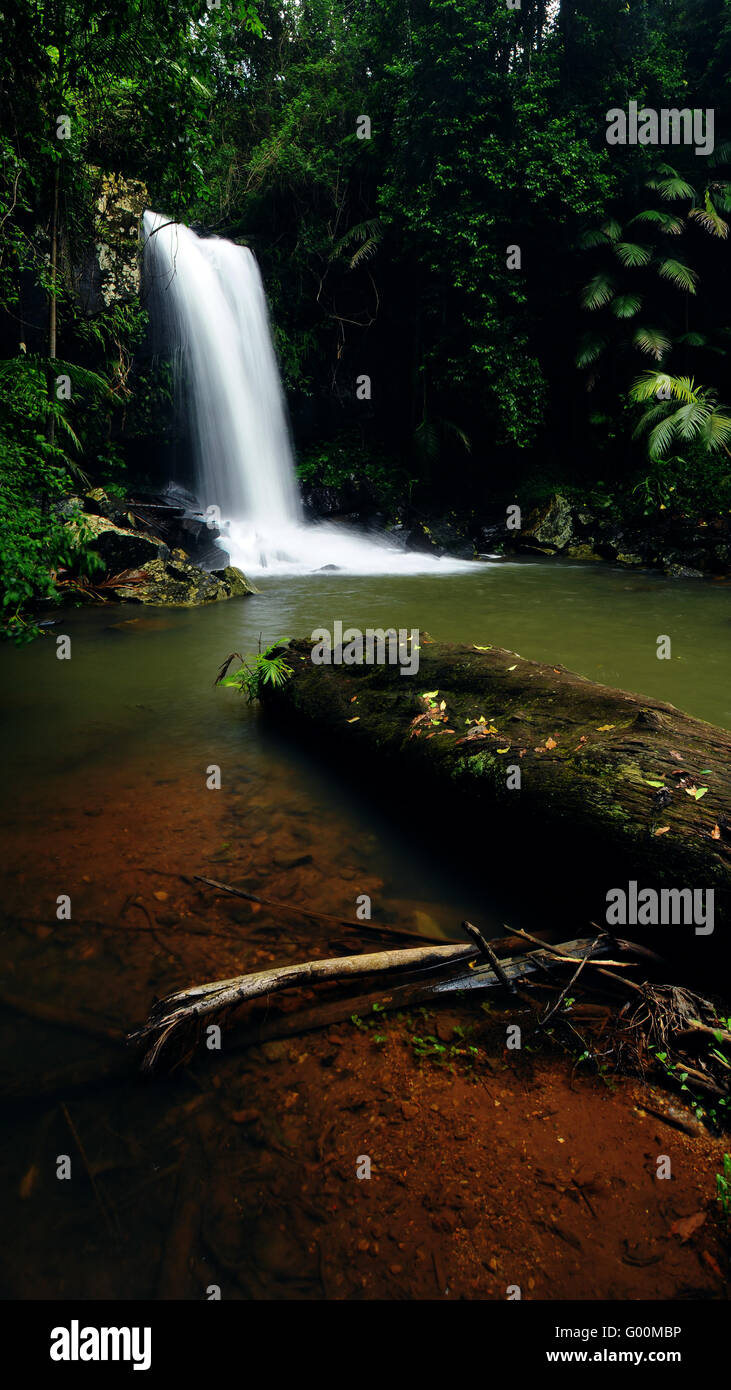 Curtis Falls at Tamborine Mountain National Park, Brisbane Stock Photo Alamy