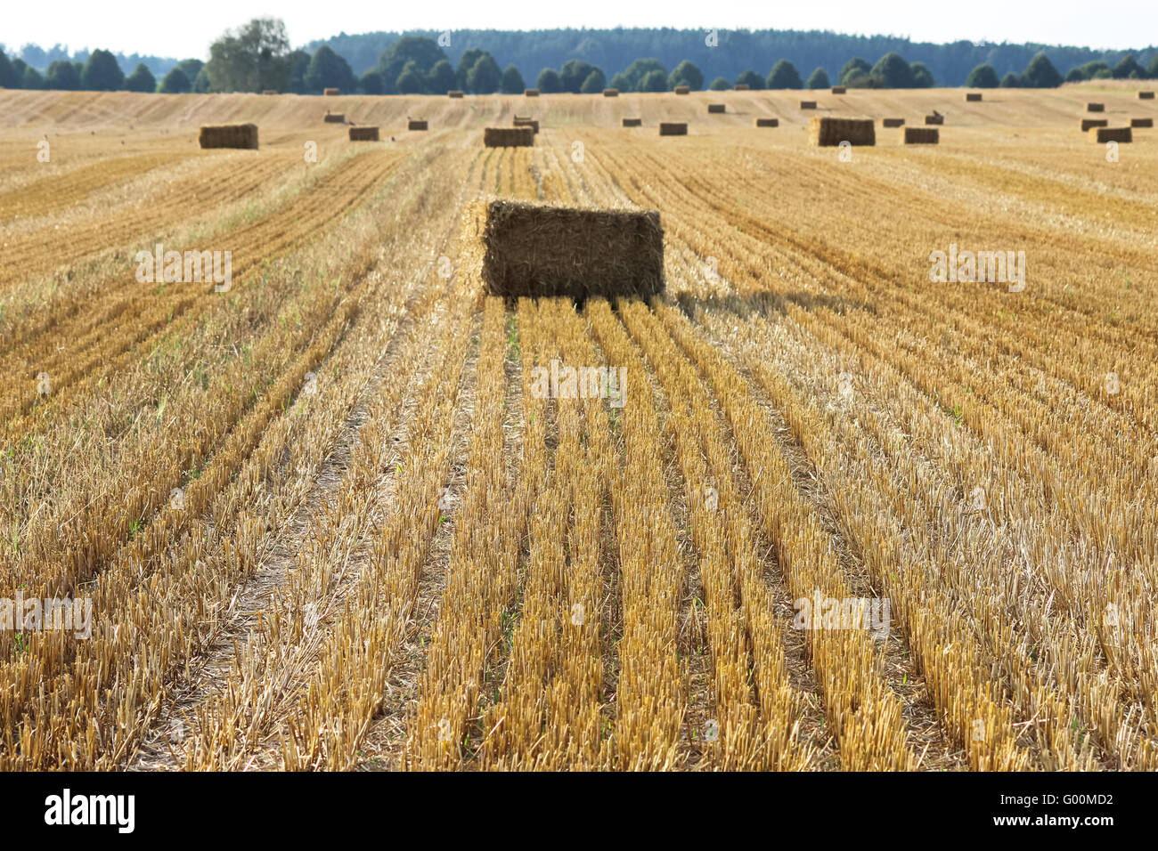 bundle of straw Stock Photo - Alamy