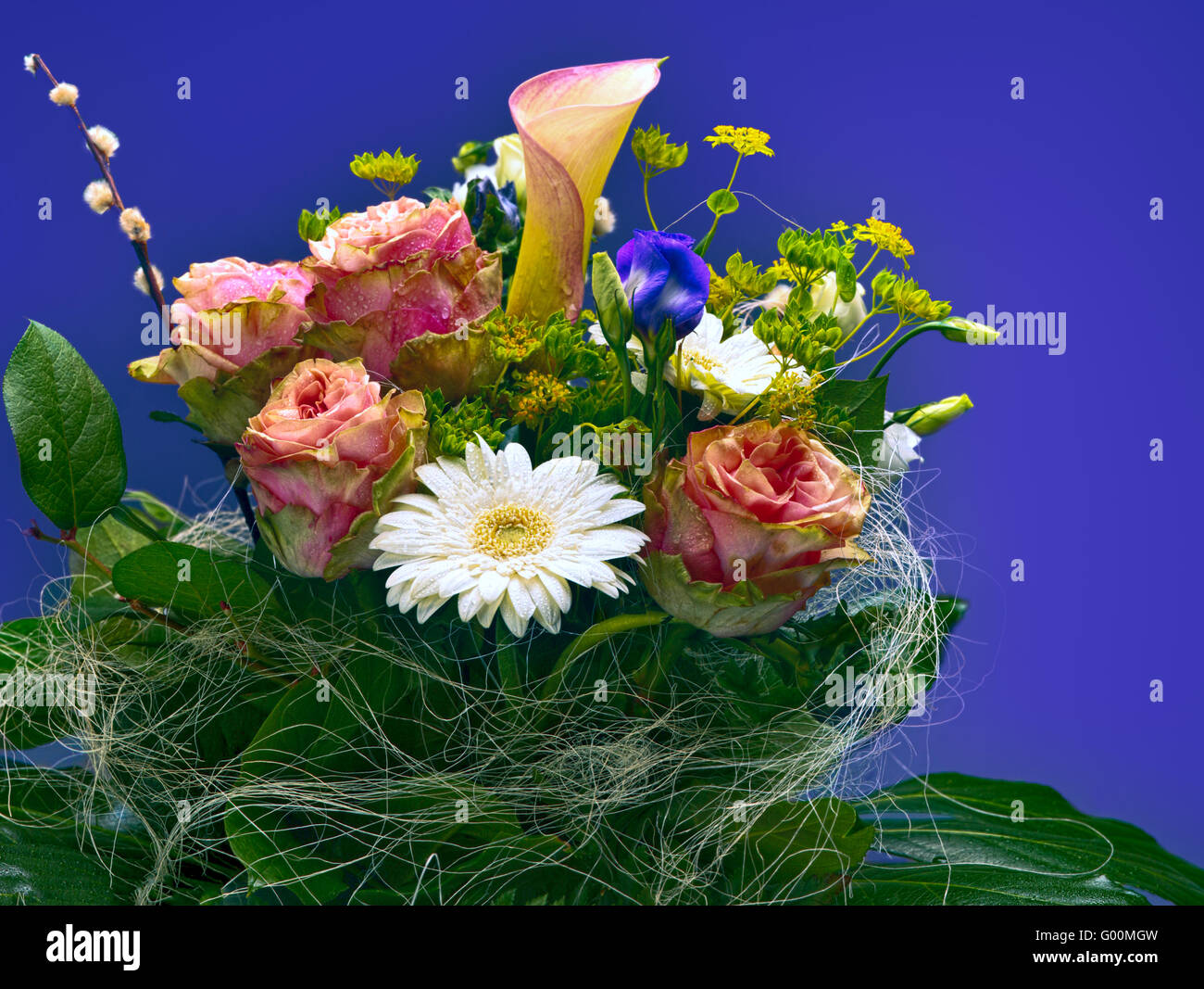 Bright wildflowers hi-res stock photography and images - Alamy