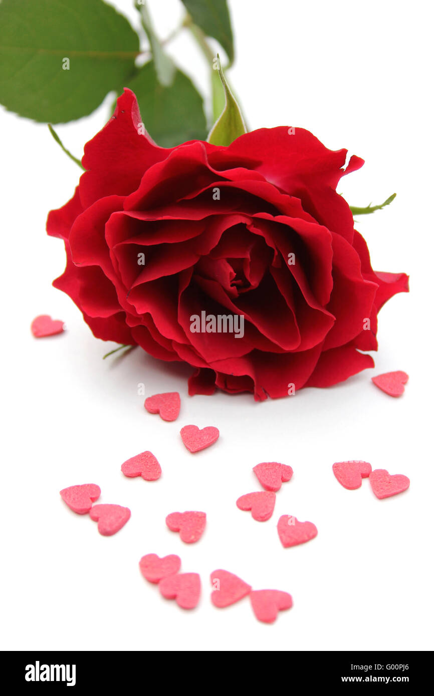rose and hearts Stock Photo