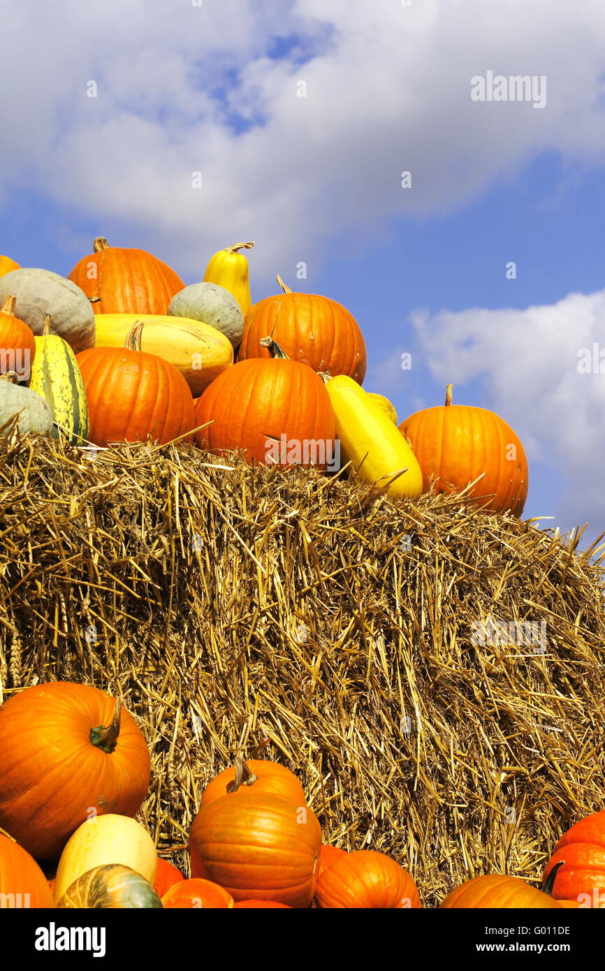 Pumpkins on bales of straw (hay Stock Photo Alamy