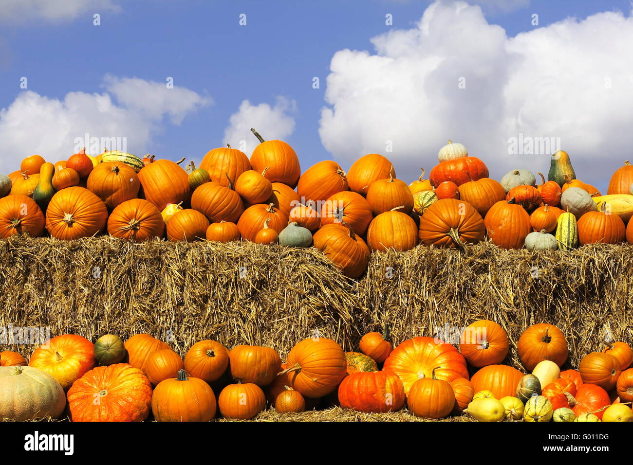 Pumpkins on bales of straw (hay Stock Photo - Alamy