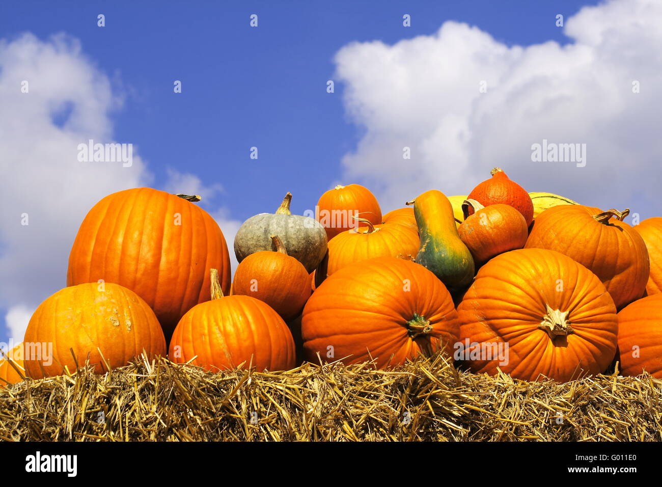 Pumpkins on bales of straw (hay Stock Photo Alamy