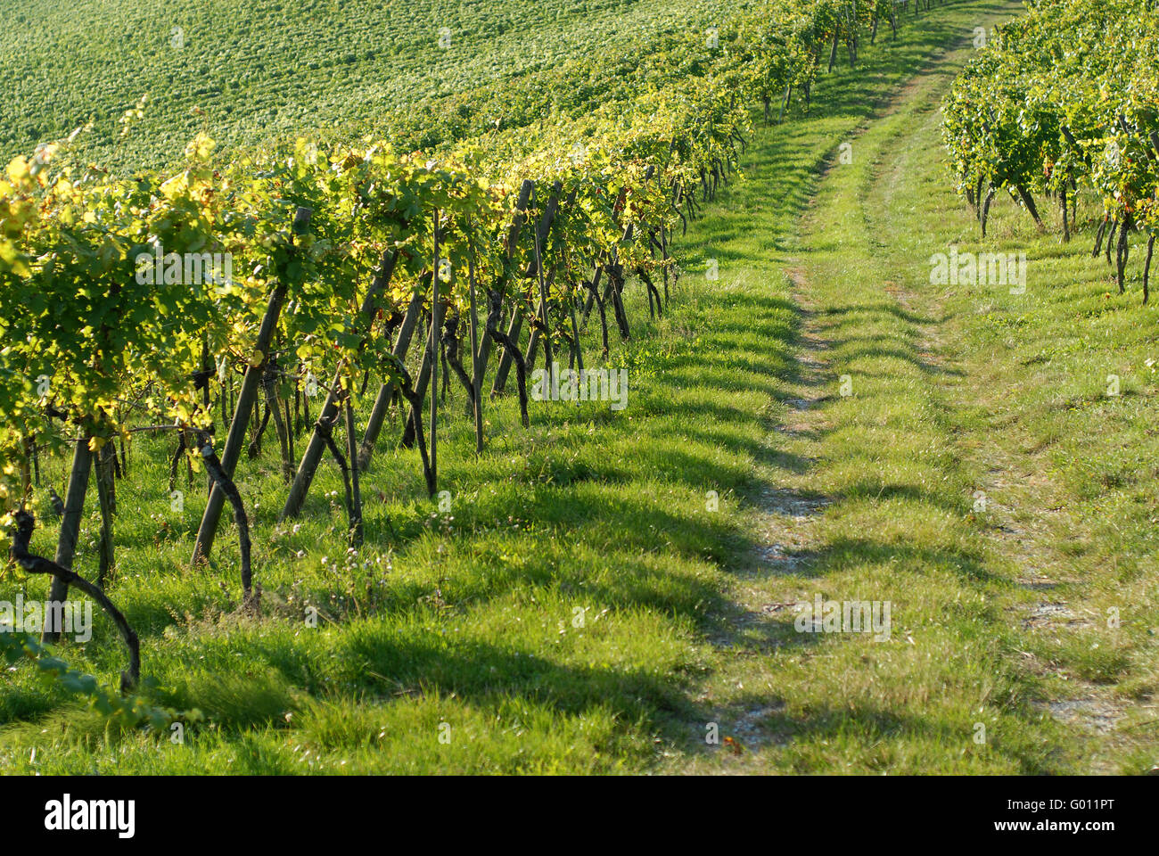 Grape juice away hi-res stock photography and images - Alamy