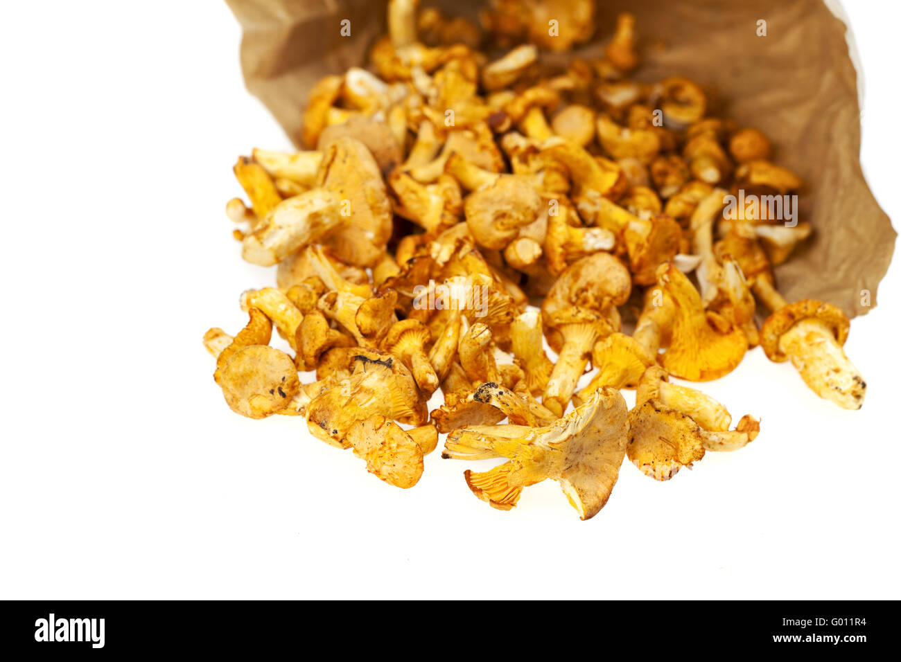 fresh chanterelles isolated on white background Stock Photo Alamy