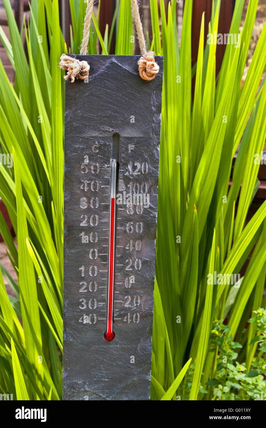 THERMOMETER HOT GARDEN Sunlit stone carved themed thermometer at 35C in garden greenhouse Stock Photo