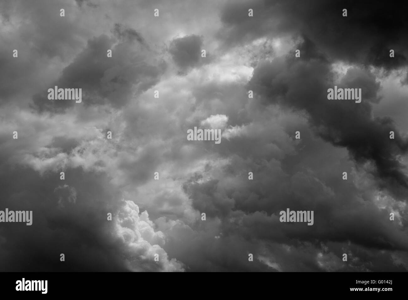 Rainy season nature Black and White Stock Photos & Images - Alamy