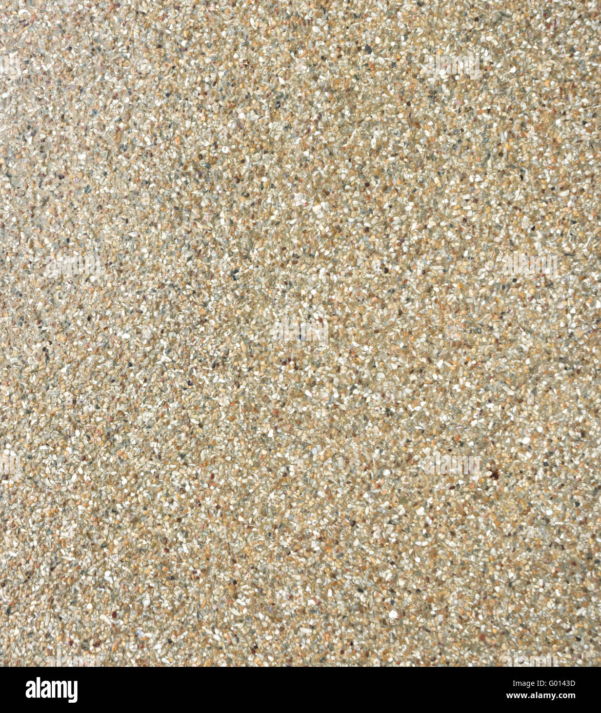 wet concrete floor after rain Stock Photo Alamy