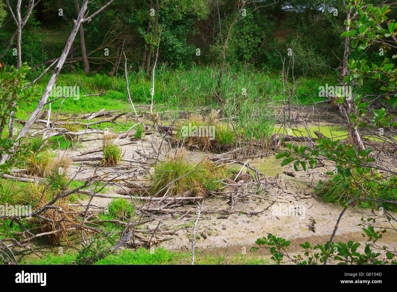 luft kurve Glatte bad ecology in nature Stock Photo - Alamy