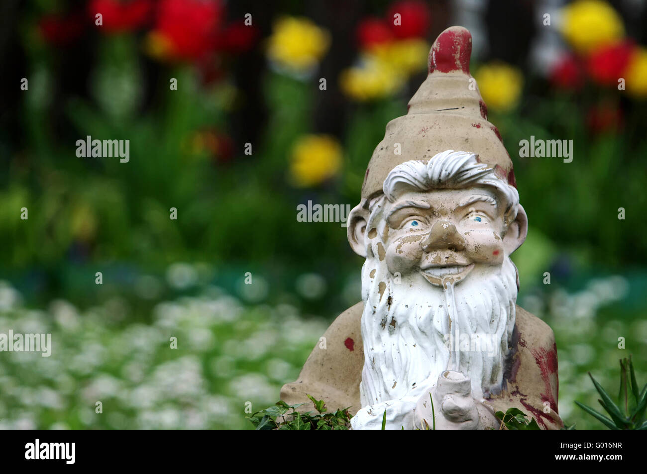Garden gnome in spring Stock Photo