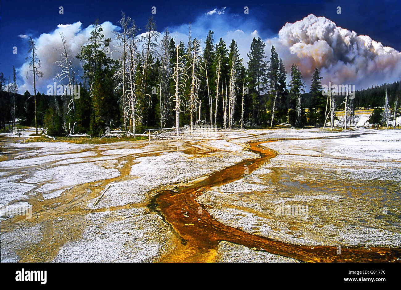 Yellow Stone NP Upper Geyser Basin Stock Photo