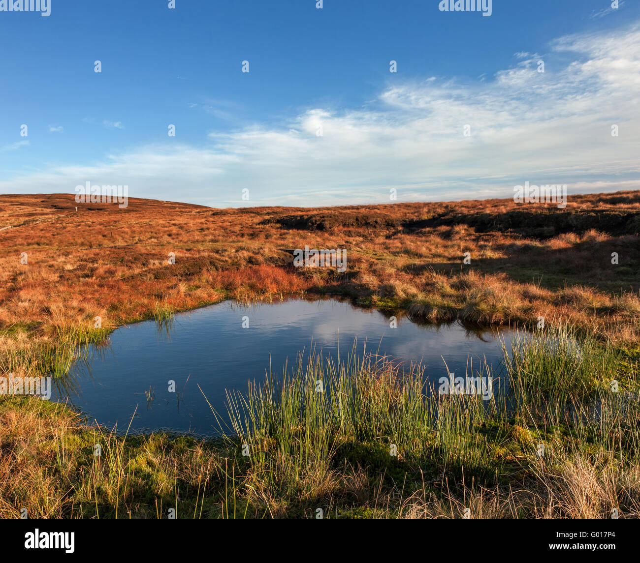 Small tarn or decoy pond on Brennand Hill in The Forest of Bowland Stock Photo