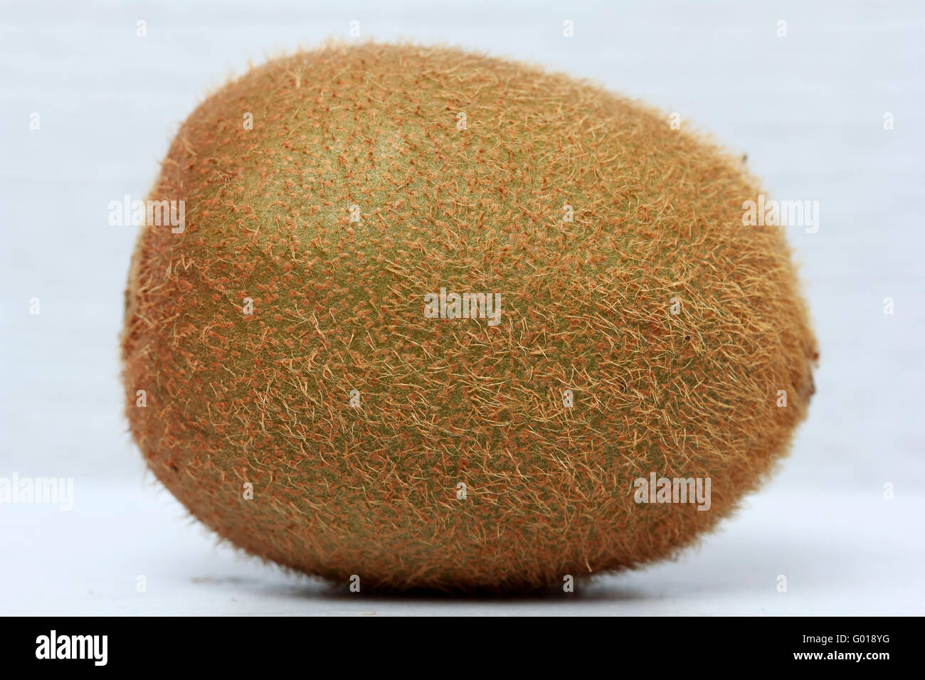 Kiwi fruit on white background close up Stock Photo - Alamy