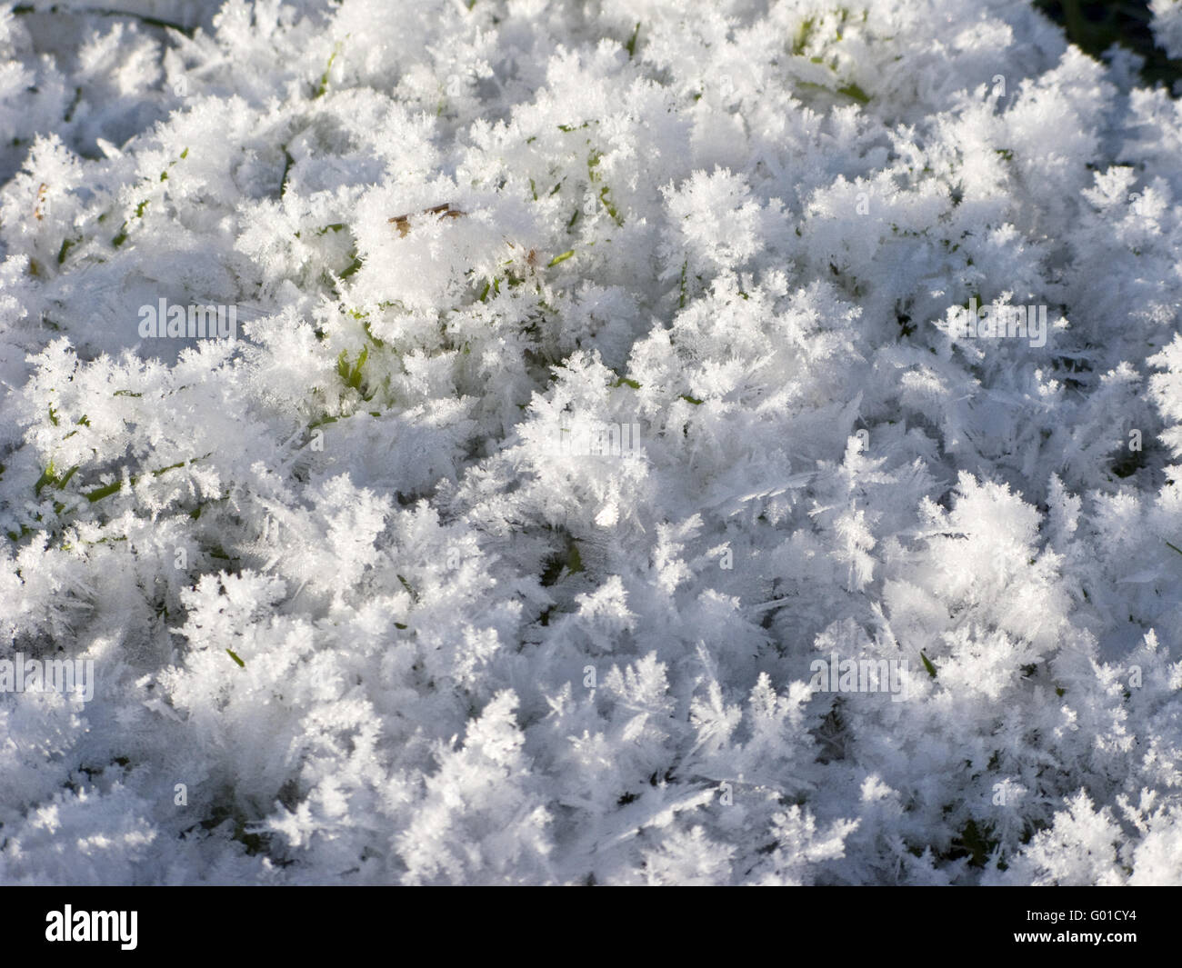 Texture of snow surface with acicular crystals on sunny day Stock Photo
