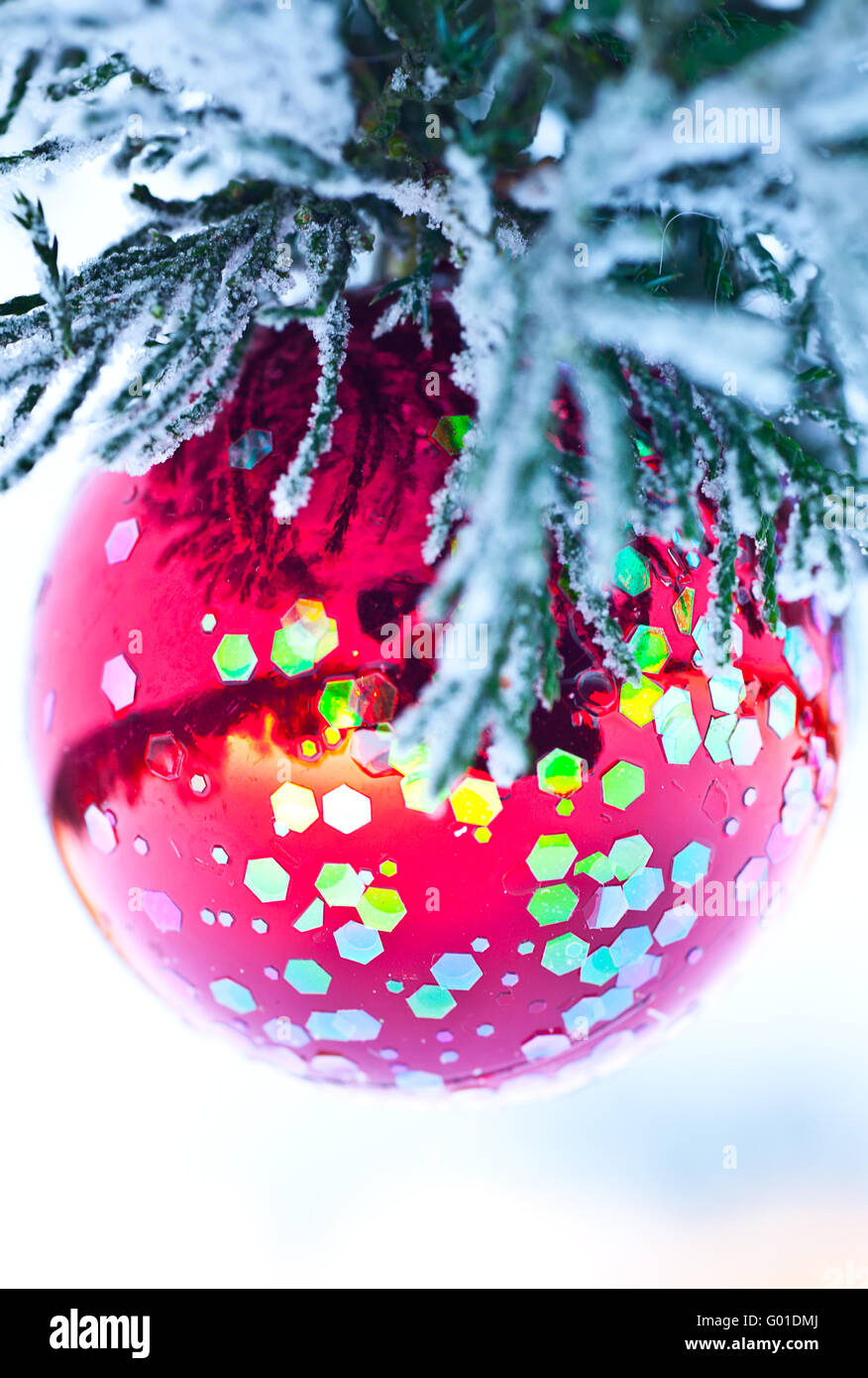 Red ball on fir branch on white snow background Stock Photo - Alamy