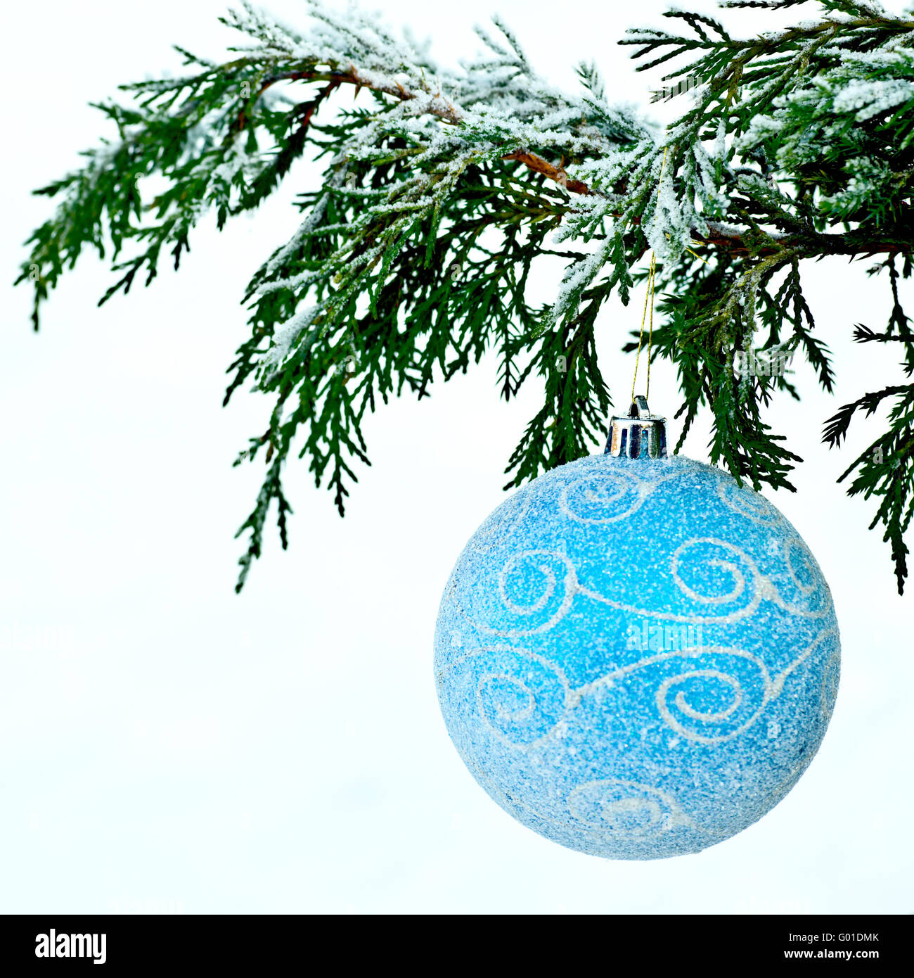 Blue ball on fir branch on white snow background Stock Photo